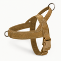 No-Pull Dog Harness Starter