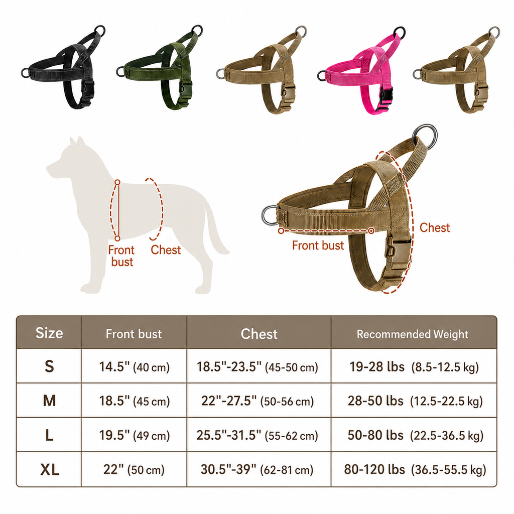 No-Pull Dog Harness Starter