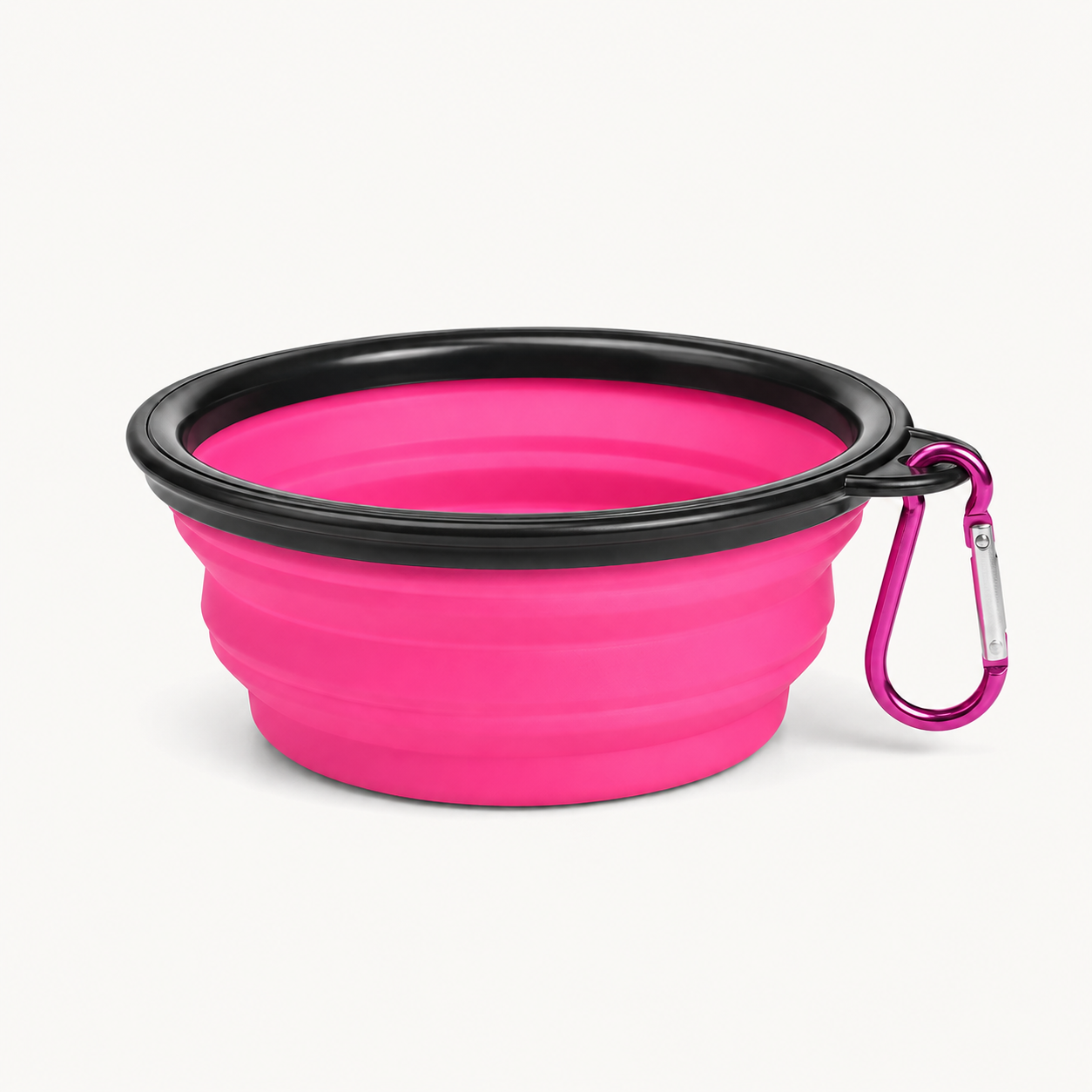 Collapsible Dog Travel Bowl