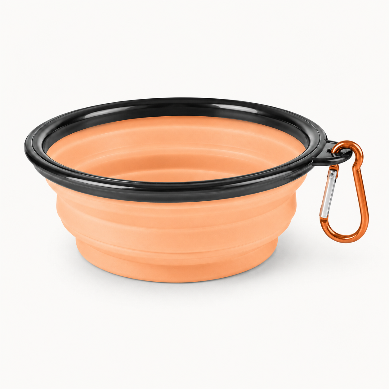 Collapsible Dog Travel Bowl