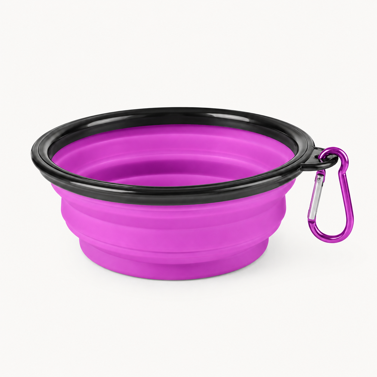 Collapsible Dog Travel Bowl