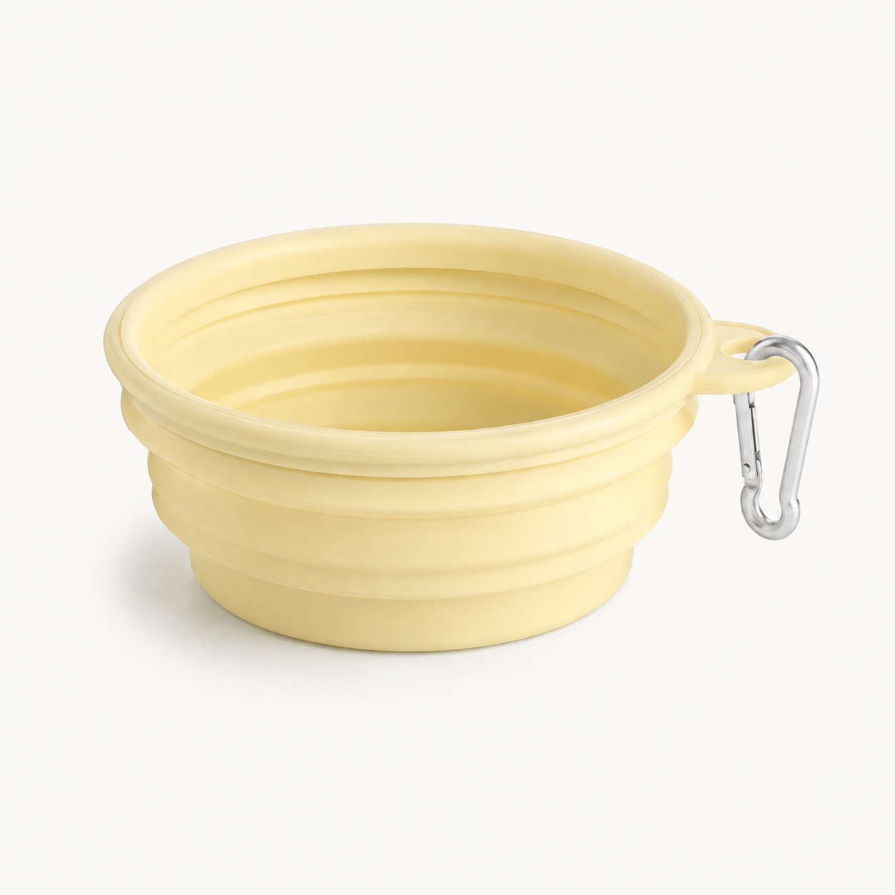 Pastel Collapsible Dog Travel Bowl