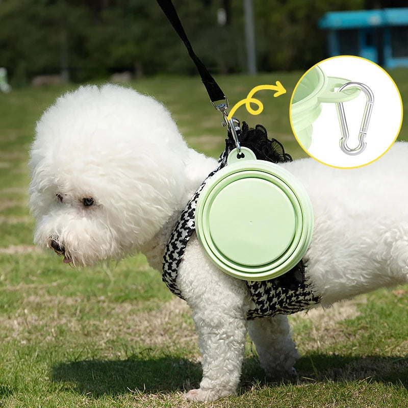 Pastel Collapsible Dog Travel Bowl