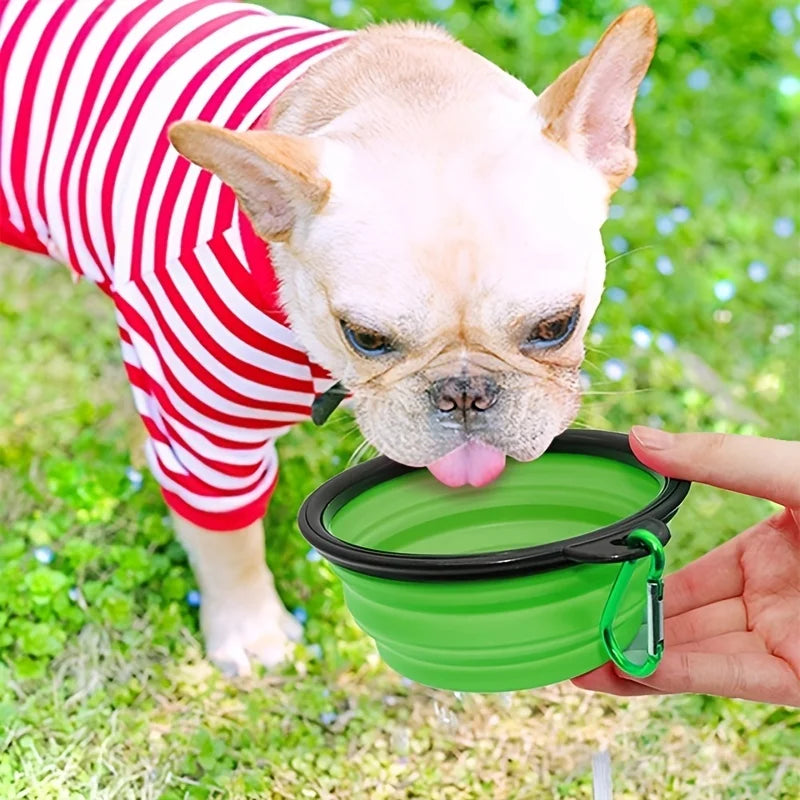 Collapsible Dog Travel Bowl