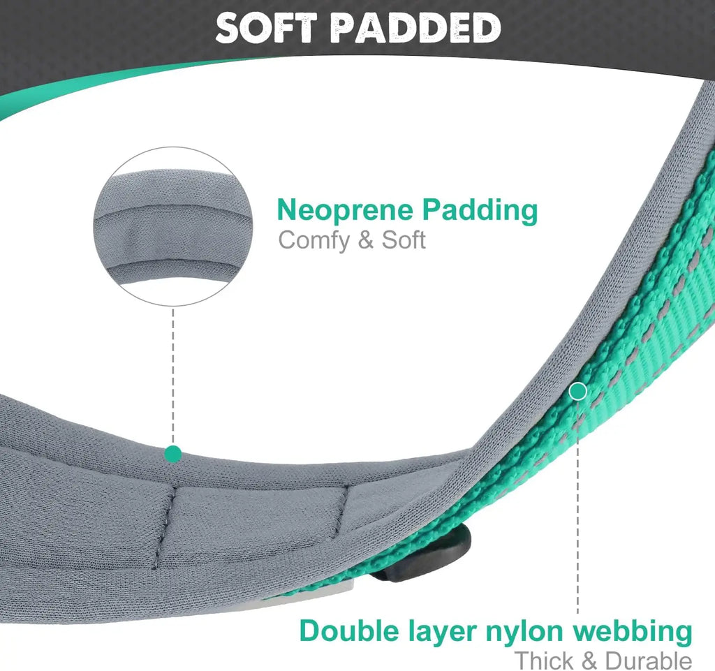 Reflective Padded Dog Collar