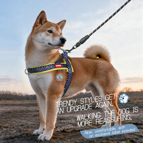 Dog Harness | Geometryx