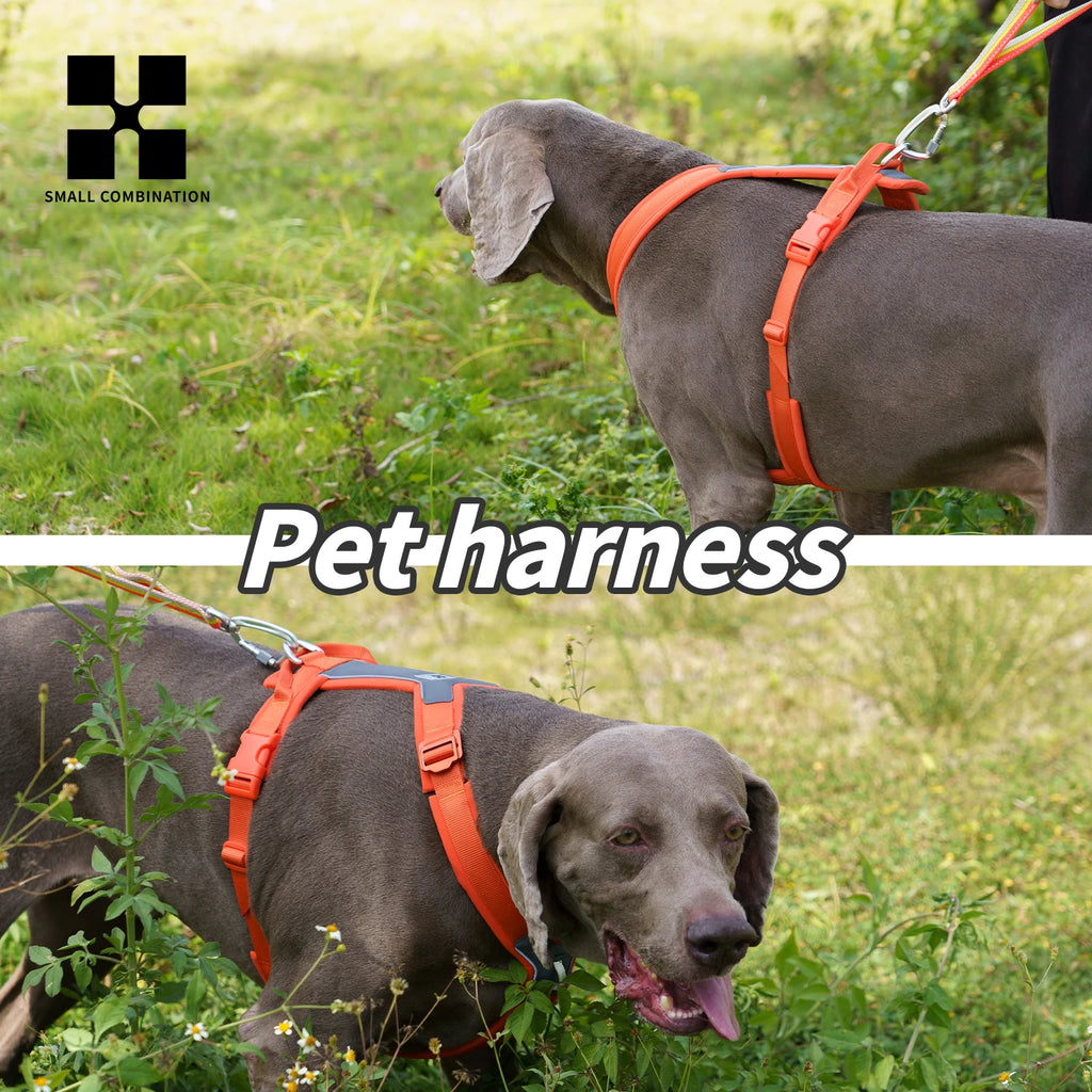 No-Pull Dog Harness | Small Combination