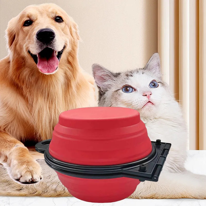 2-in-1 Collapsible Dog Travel Bowl