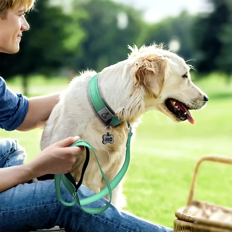 Reflective Padded Dog Collar