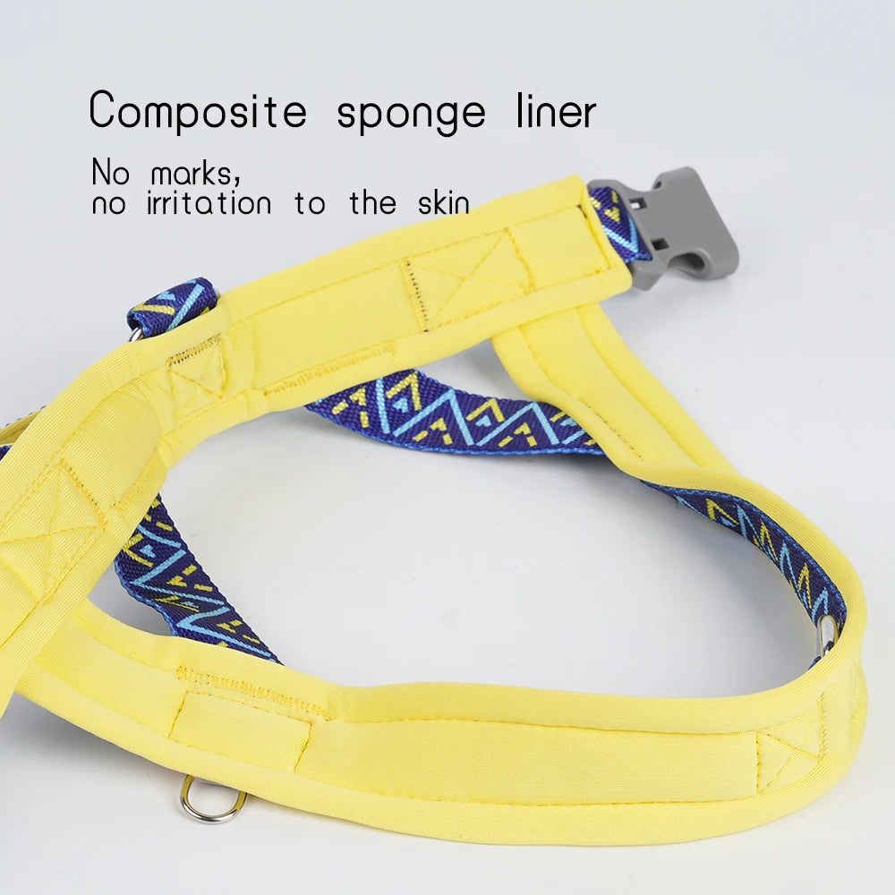 Dog Harness | Geometryx