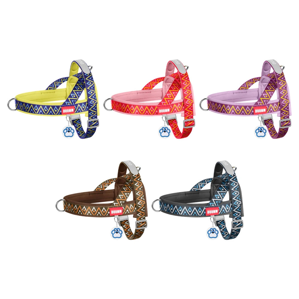 Dog Harness | Geometryx
