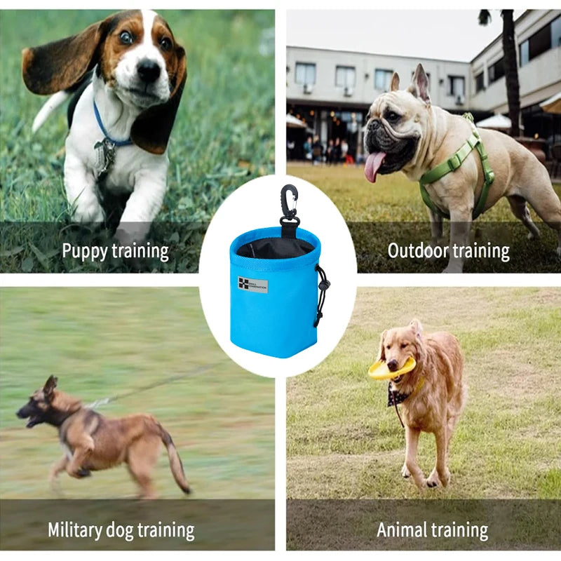 Compact Dog Training Treat Pouch